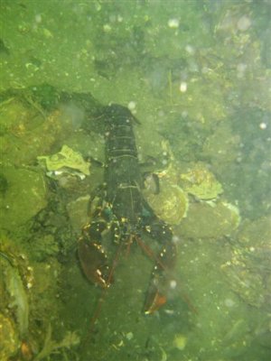 image017.jpg