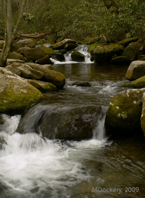 Spring Water Run Off. Great Smoky Mountain National Park