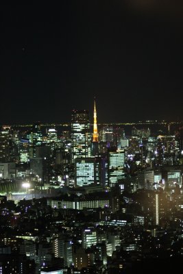 101109 Japan 376.jpg