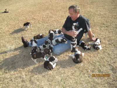 Puppies, puppies everywhere!