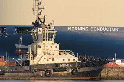 Tug 'Bentley' with MV Morning Conductor