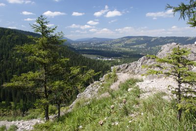 Nosal Mountain