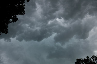 storm-4.jpg