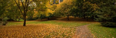 Portland fall colors.jpg