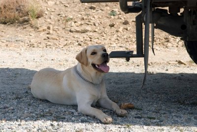 DSC_0311.jpg