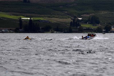DSC_0408.jpg