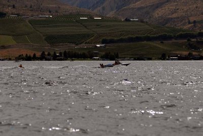 DSC_0409.jpg
