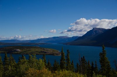 DSC_0993.jpg