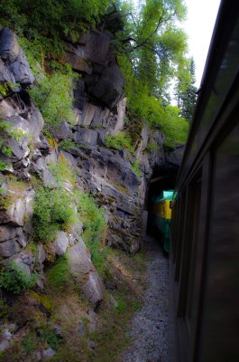 DSC_1101.jpg