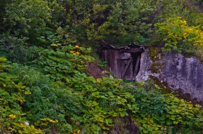 DSC_1126.jpg