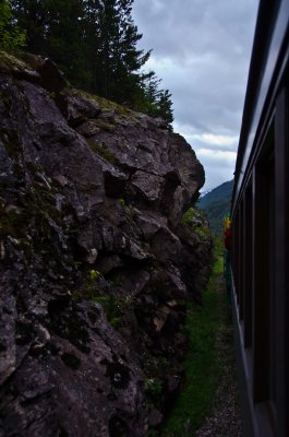 DSC_1145.jpg