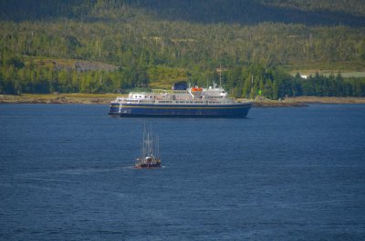 DSC_1308.jpg