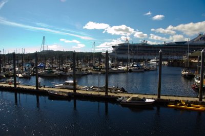 DSC_1331.jpg