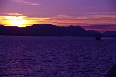 DSC_1400.jpg