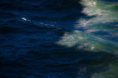 DSC_1436.jpg