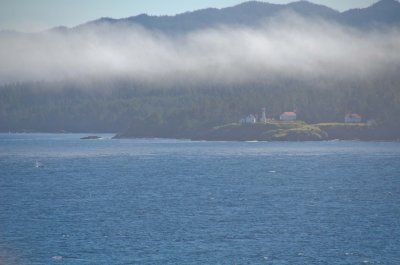 DSC_1442.jpg