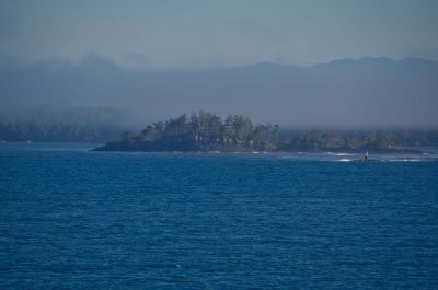 DSC_1444.jpg