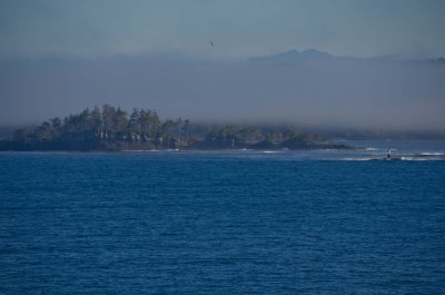 DSC_1449.jpg