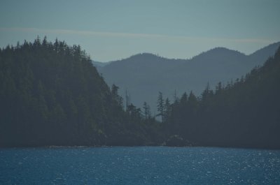 DSC_1465.jpg