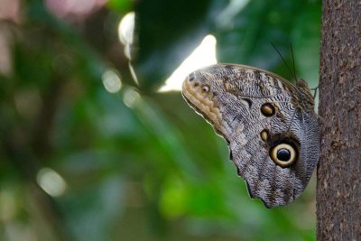 DSC_1612.jpg