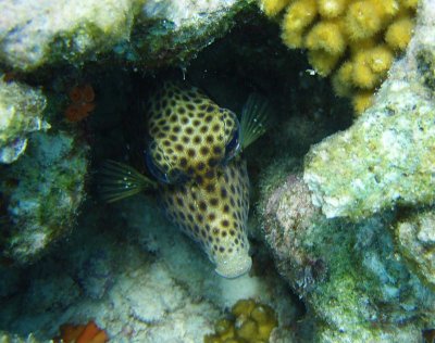 g1/79/502779/3/114574122.pgsTK2IL.jpg