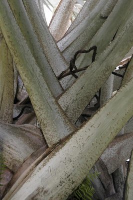 g1/79/502779/3/131942511.jZExbeZP.jpg