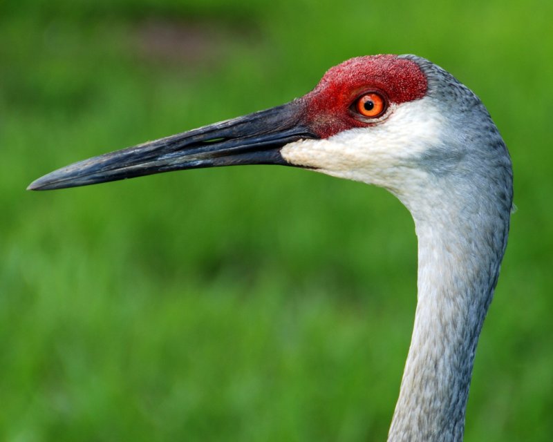 DSC_8269a.jpg