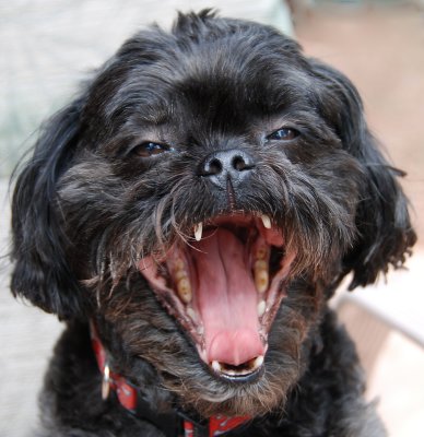 DSC_6132ahappy.jpg