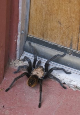 DSC_9626a.jpg