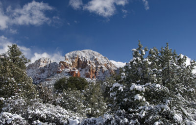 DSC_1496a.jpg