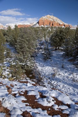 DSC_1872a.jpg