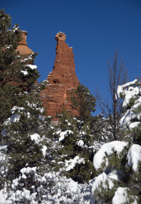 DSC_1897a.jpg
