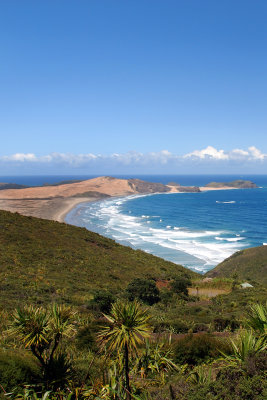 DSC_1445a.jpg