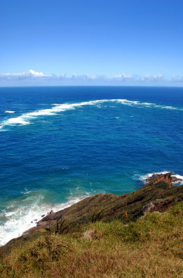 DSC_1479a.jpg