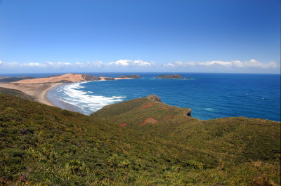 DSC_1447a.jpg