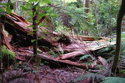 DSC_1255a.jpg