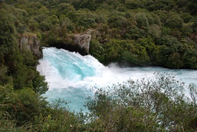DSC_2010a.jpg
