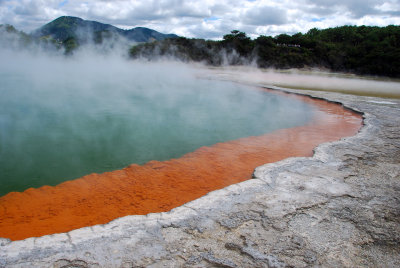 Edge of steaming pool in North Island thermal area.