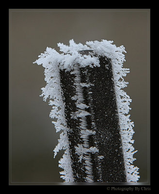 Frost Kissed Wire