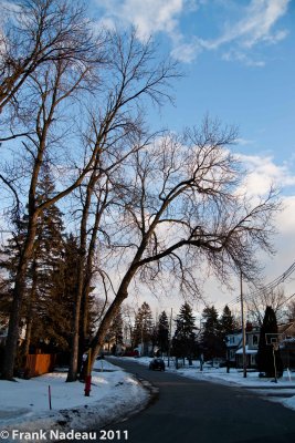 g1/79/558179/3/131596859.uQ08QszS.jpg