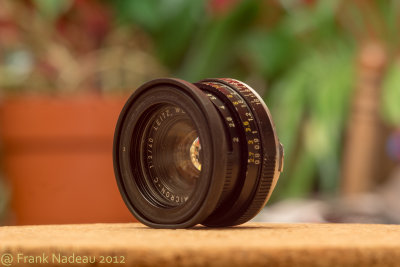 DSC00413 - Leica 90mm 2.8 at f8 - LARGE -_.jpg