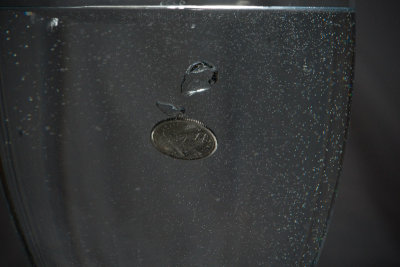 DSC08426.jpg