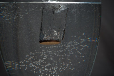 DSC08438.jpg