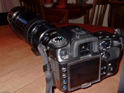 DSCF1836-13.jpg