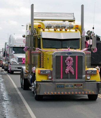 convoy_for_a_cure