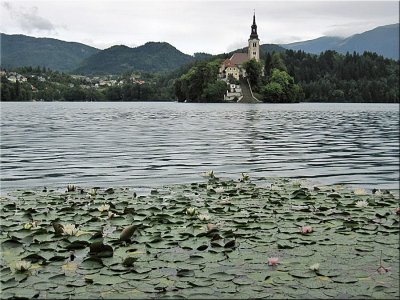 Church of the Assumption, Lake Bled.jpg