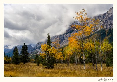 20080922_Kananaskis_0141.jpg