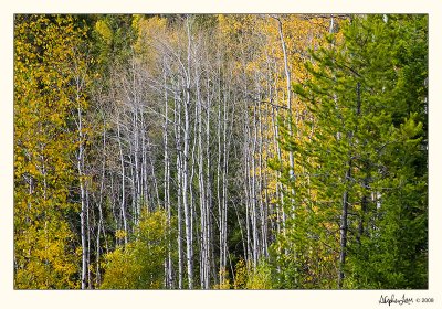20080927_BC_0093.jpg