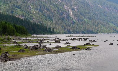 20090612_Vancouver Island_0424.jpg