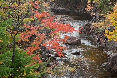 20101007_Cape Breton_0063.jpg